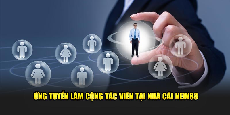 Ứng tuyển làm cộng tác viên tại nhà cái NEW88 Ứng tuyển làm cộng tác viên tại nhà cái NEW88